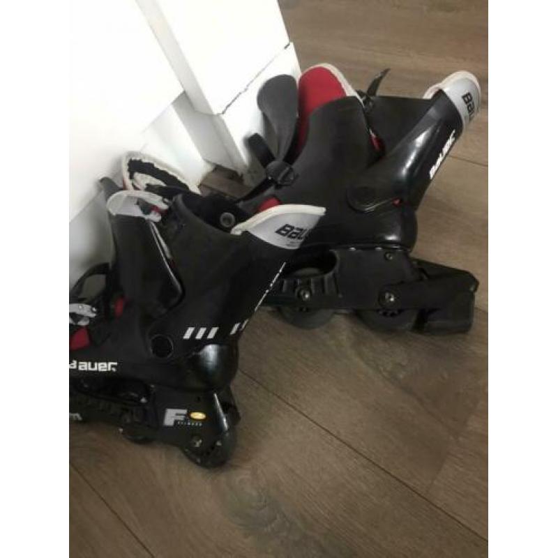 Skeelers maat 44