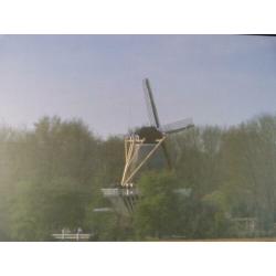Te Koop: prent van tulpenvelden Keukenhof en molen
