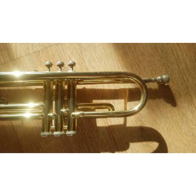 Jupiter STR100 trompet gelakt, izgst