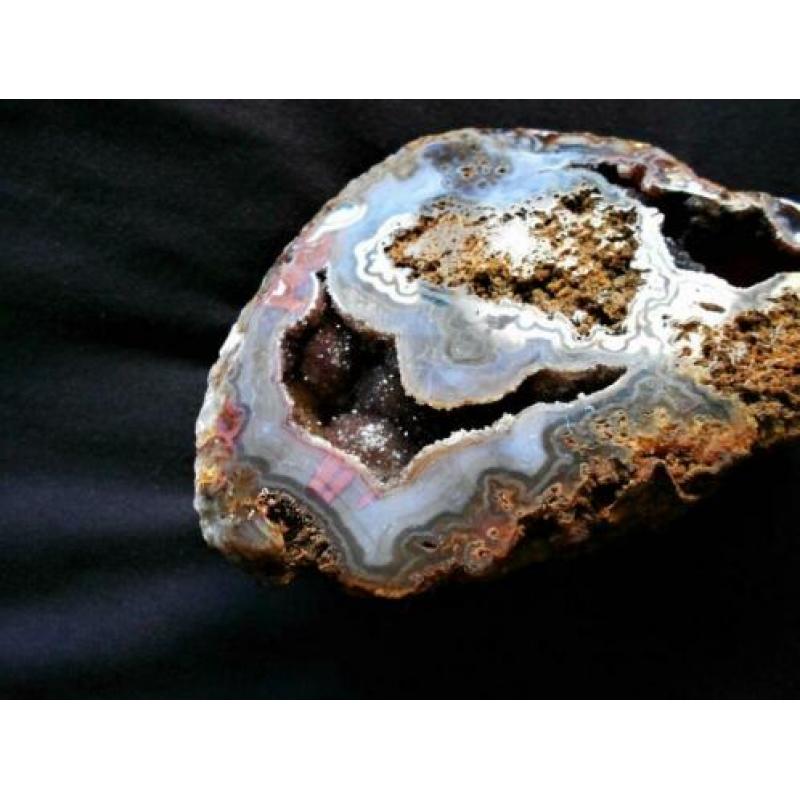 Schitterend(!)geagatiseerd koraal met blauw chalcedoon