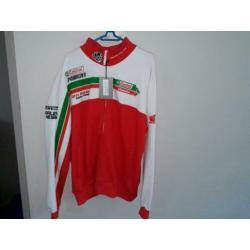 ten kate - honda - racing - pirelli - castrol - team -RACING