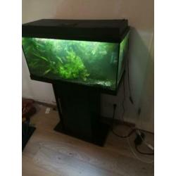 aquarium