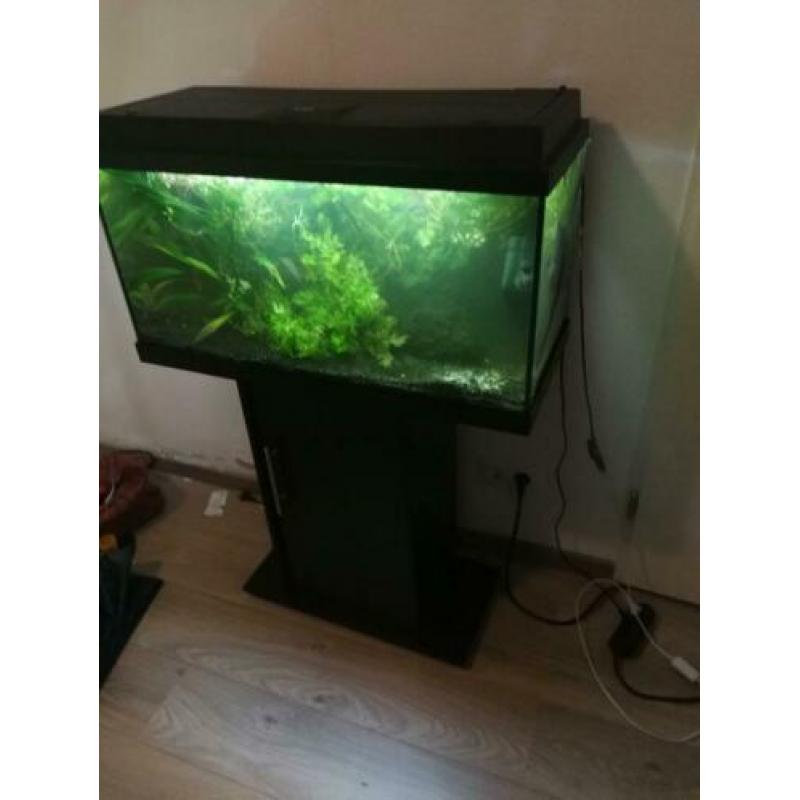 aquarium