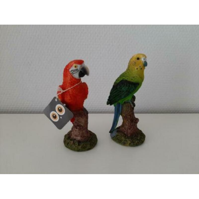 Roodborstjes/ papegaaitjes en andere vogeltjes
