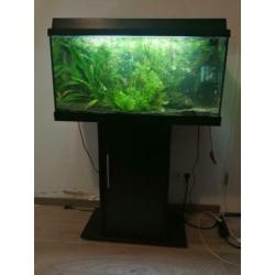 aquarium
