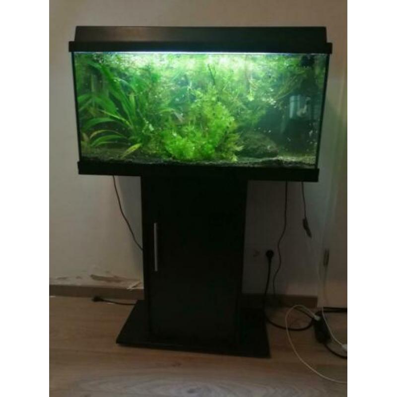 aquarium