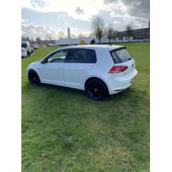 Volkswagen Golf 1.6 TDI 81KW 5D Blue Motion 2013 Wit
