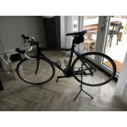 Willier Triestina Mortirolo Carbon