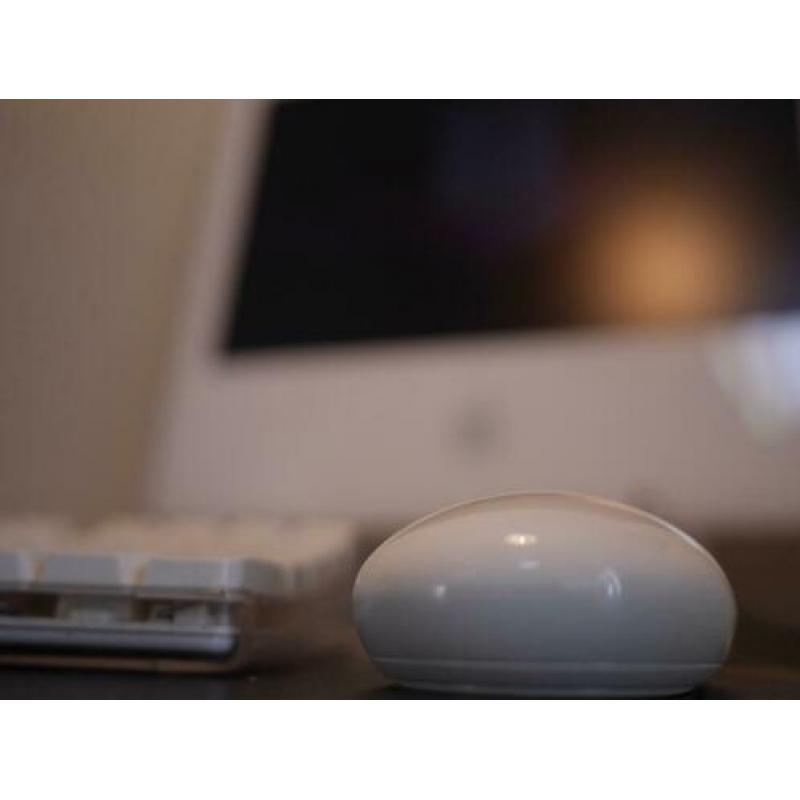 Apple toetsenbord en muis (bedraad)