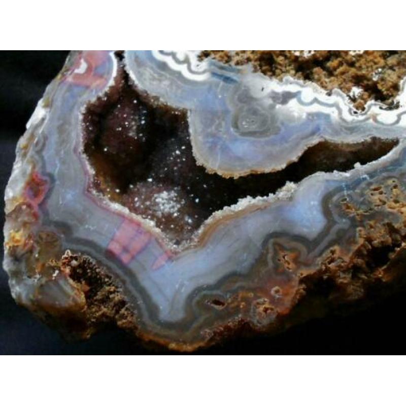 Schitterend(!)geagatiseerd koraal met blauw chalcedoon