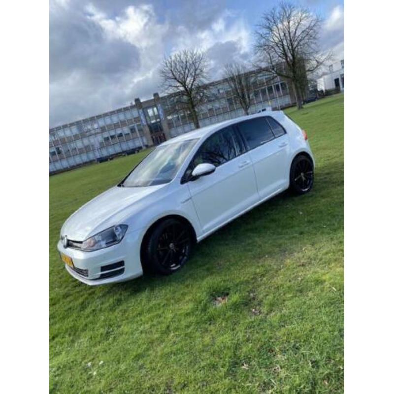 Volkswagen Golf 1.6 TDI 81KW 5D Blue Motion 2013 Wit