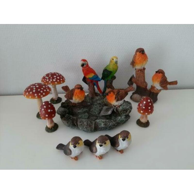 Roodborstjes/ papegaaitjes en andere vogeltjes