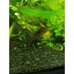 aquarium