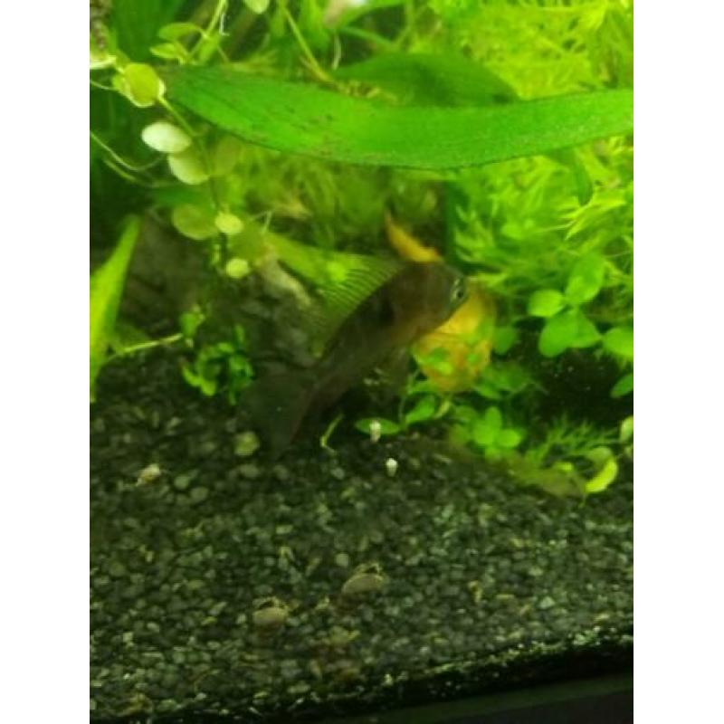 aquarium