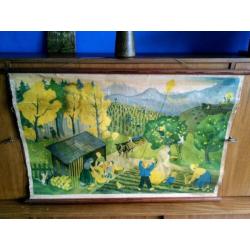 Retro vintage wandplaat,poster,schoolplaat!