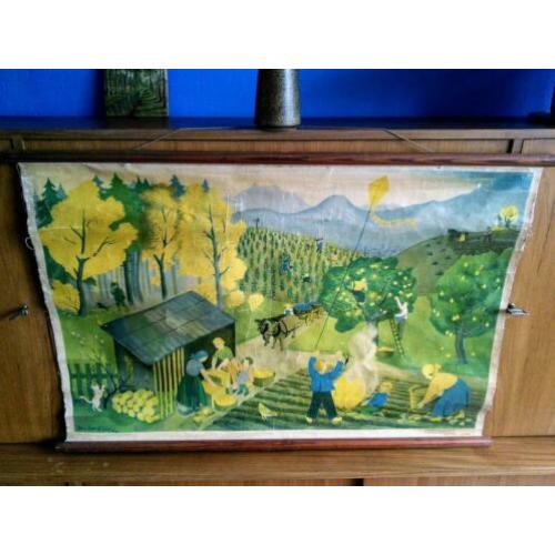 Retro vintage wandplaat,poster,schoolplaat!