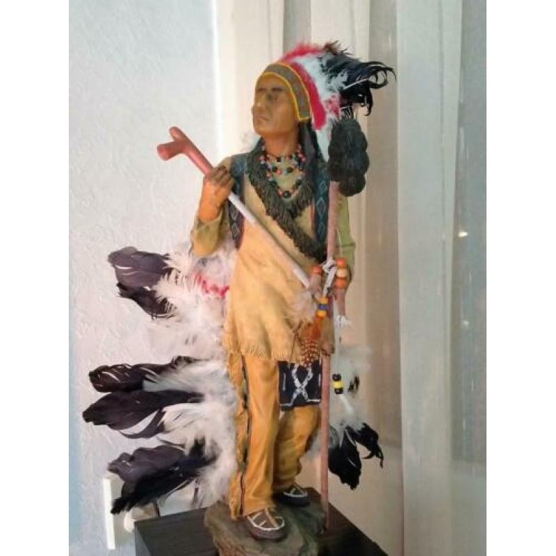 Mooie indianen beeld