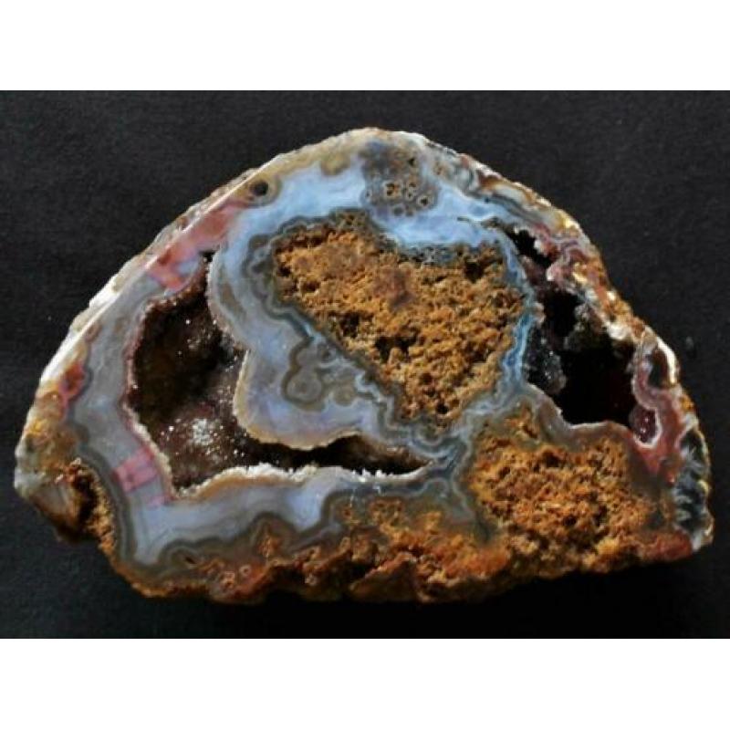 Schitterend(!)geagatiseerd koraal met blauw chalcedoon