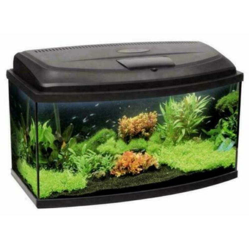 grootste collectie aquaria, Osaka Classic, nergens goedkoper
