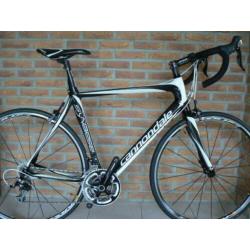 Cannondale Synapse en Focus Culebro zgan!!