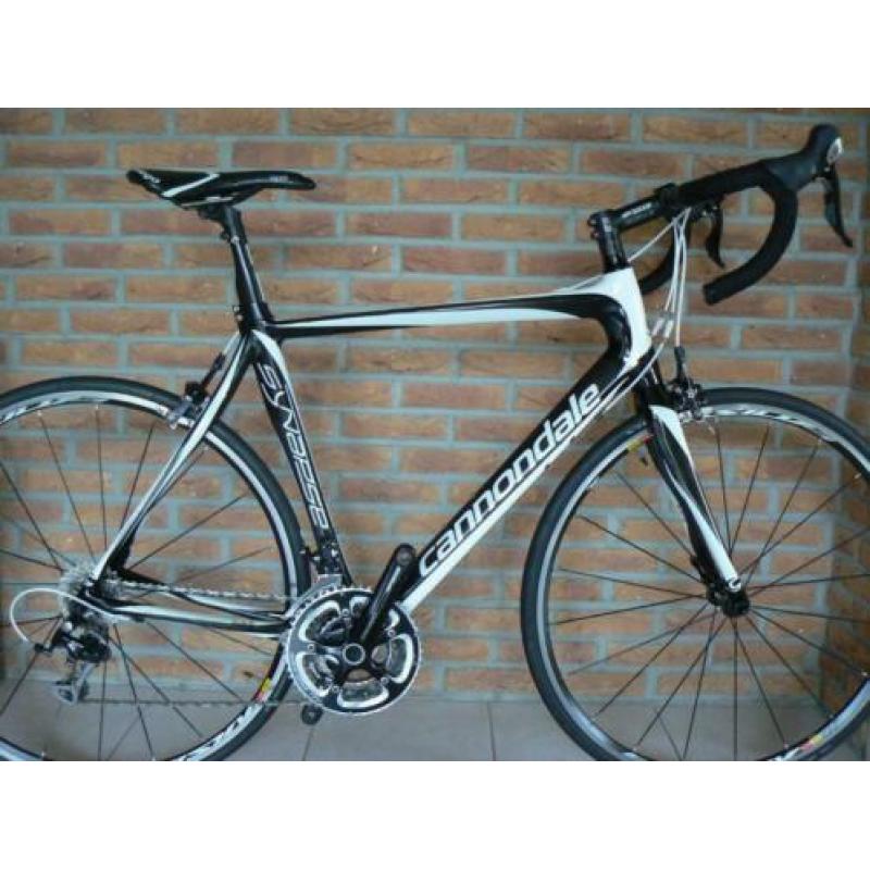 Cannondale Synapse en Focus Culebro zgan!!
