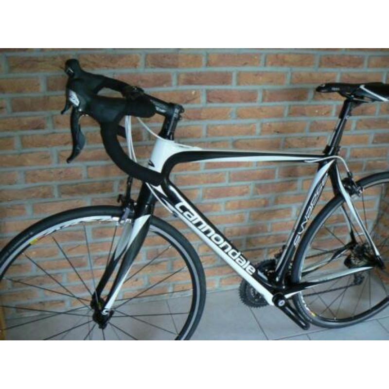 Cannondale Synapse en Focus Culebro zgan!!