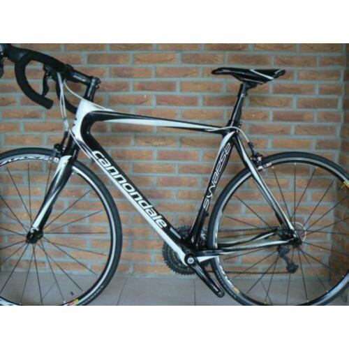 Cannondale Synapse en Focus Culebro zgan!!