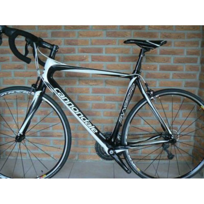 Cannondale Synapse en Focus Culebro zgan!!