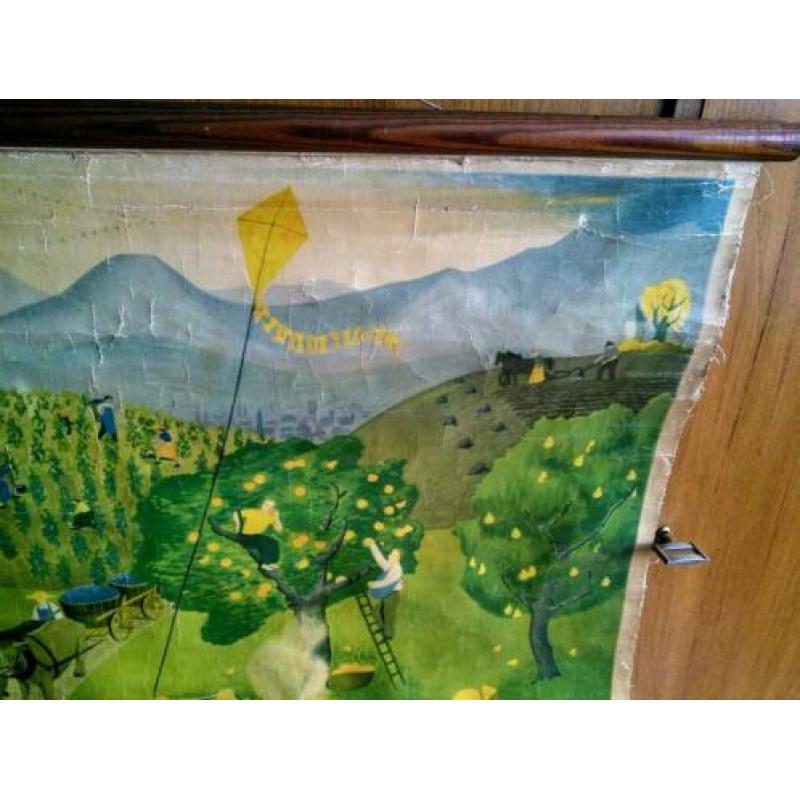 Retro vintage wandplaat,poster,schoolplaat!