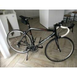 Willier Triestina Mortirolo Carbon