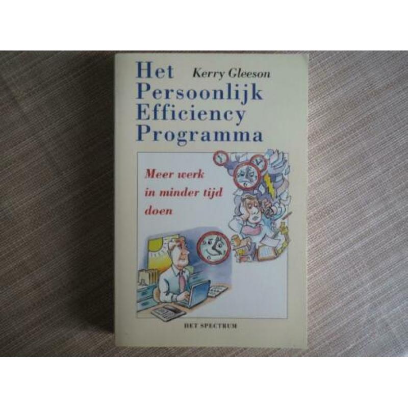 Het persoonlijk efficiency programma door Kerry Gleeson