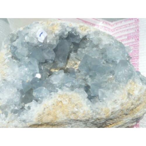 Coelestien / Celestine (01)