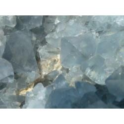 Coelestien / Celestine (01)