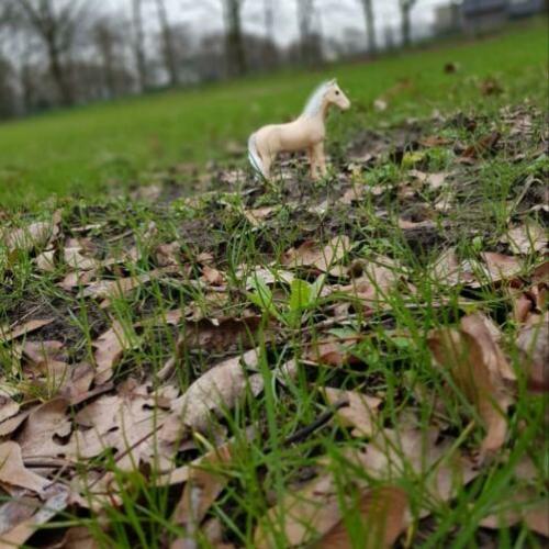 Schleich knabstruper repaint