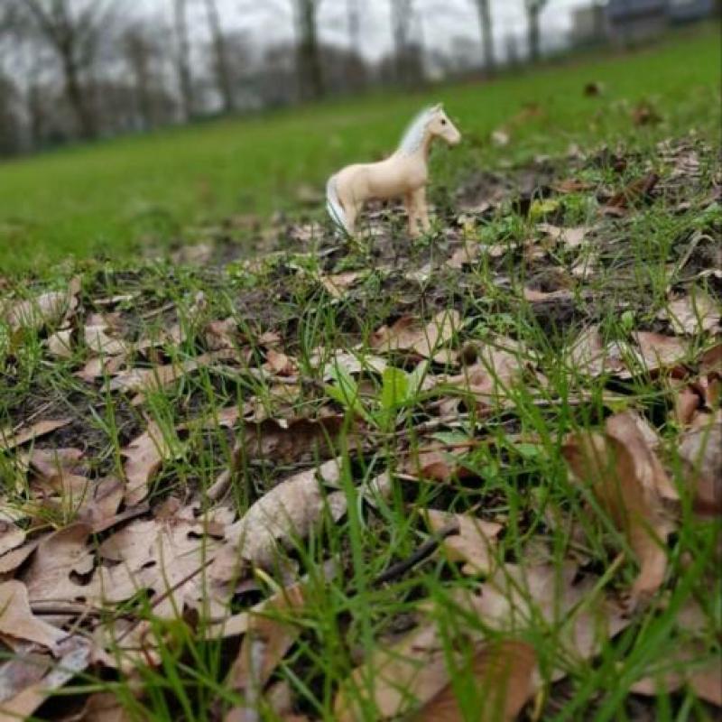 Schleich knabstruper repaint