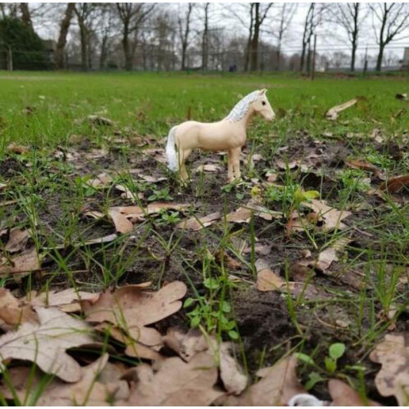 Schleich knabstruper repaint