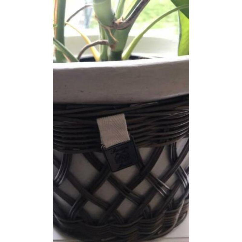 Rivièra maison rustic rattan ovale bloempotten.