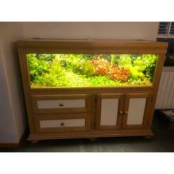 aquarium 160x50x50 compleet in een eiken kast