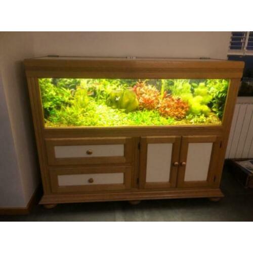 aquarium 160x50x50 compleet in een eiken kast