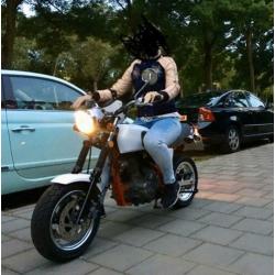 Honda Skyteam Ape (motorkenteken)