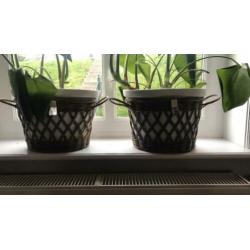 Rivièra maison rustic rattan ovale bloempotten.