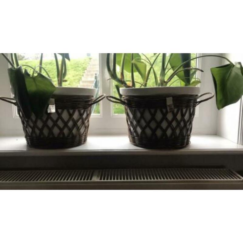 Rivièra maison rustic rattan ovale bloempotten.