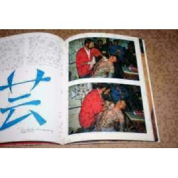 Fraai boek over tatoeages - Tattoo Pigments of Imagination !