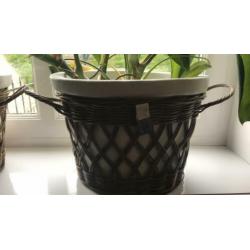 Rivièra maison rustic rattan ovale bloempotten.