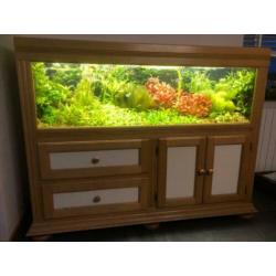 aquarium 160x50x50 compleet in een eiken kast