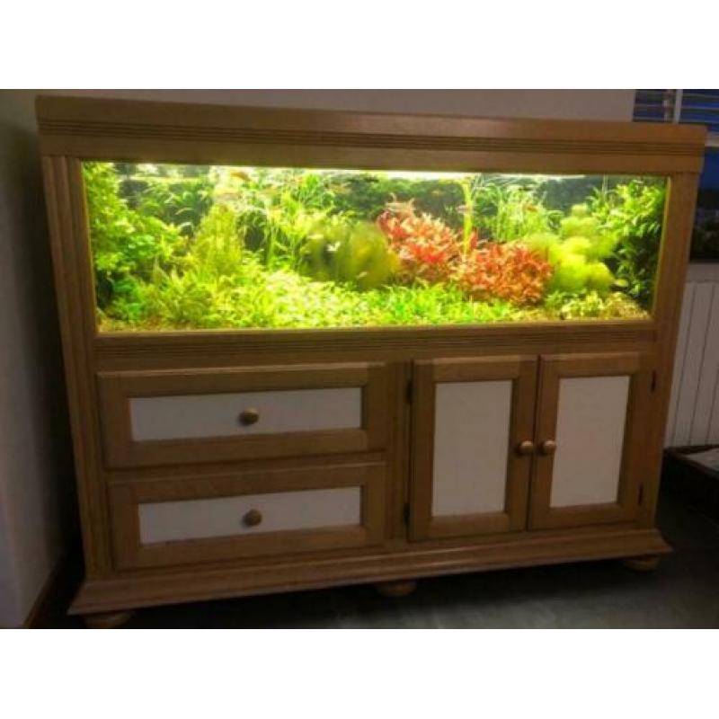 aquarium 160x50x50 compleet in een eiken kast
