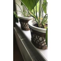 Rivièra maison rustic rattan ovale bloempotten.