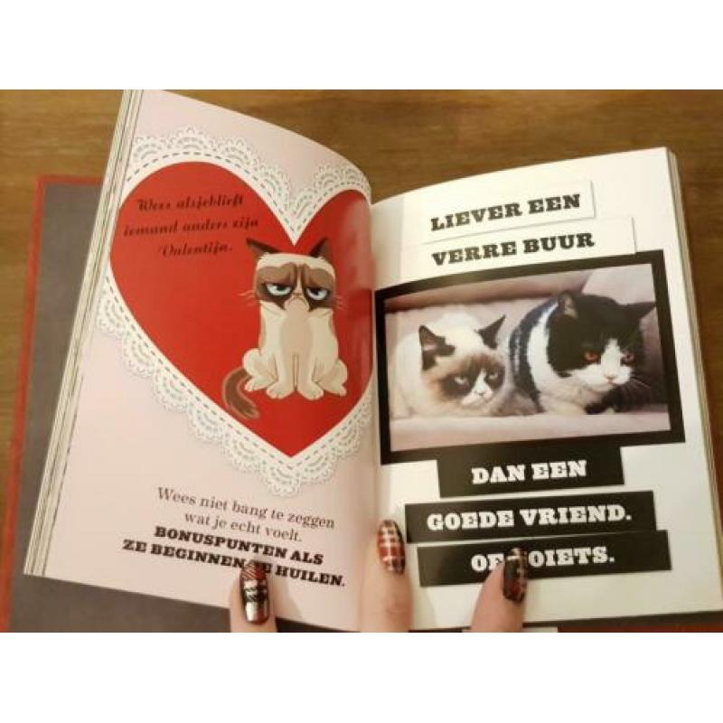 Grumpy Cat levensgids en ansichtkaarten