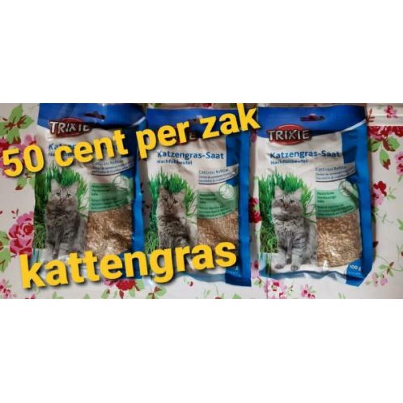 Kattengras, graszaad, kattenspeelgoed