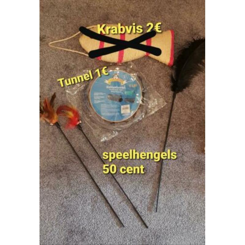 Kattengras, graszaad, kattenspeelgoed